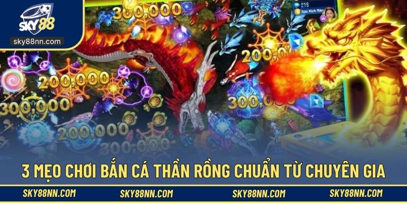 Học hỏi các mẹo để chơi săn cá thần rồng thêm chuẩn