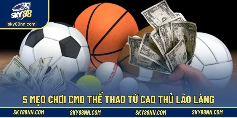 Học hỏi mẹo để chơi thể thao luôn chiến thắng đậm