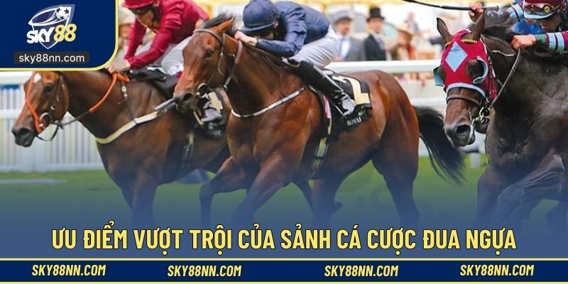 Sảnh cá cược đua ngựa có nhiều ưu điểm đặc sắc