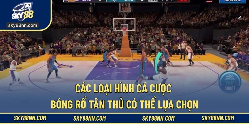 Thoải mái chọn hình thức cược bóng rổ theo nhu cầu