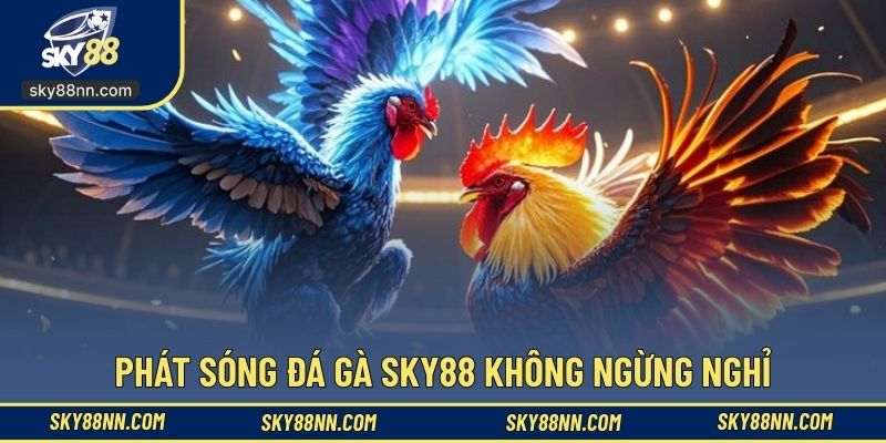 Phát sóng đá gà SKY88 không ngừng nghỉ